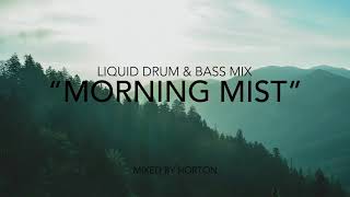 quotMorning Mistquot  Liquid Drum amp Bass Mix [upl. by Irahc]