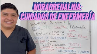 Norepinefrina  Noradrenalina y sus Cuidados de Enfermería [upl. by Thais430]