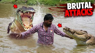 The Most BRUTAL Crocodile Attacks MARATHON [upl. by Nylaehs]