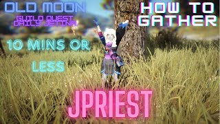 HOW TO GATHER IN BDO  OLD MOON EVENT JETIAN SEALS [upl. by Billy834]