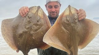 Double session Ogmore by sea and sully island BIG blonde rays [upl. by Iht244]