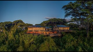 Ngorongoro Lion’s Paw by Karibu Camps amp Lodges [upl. by Asoj]