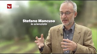 Stefano Mancuso intervistato a TG2 Dossier [upl. by Newhall]