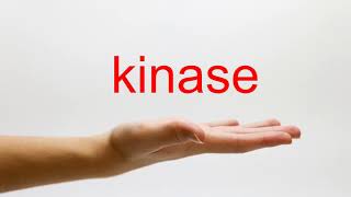 How to Pronounce kinase  American English [upl. by Ahsikin82]