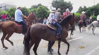 Cabalgata Horse Parade at the Feria de las Flores Flower Festival in Medellin Colombia [upl. by Abigael]