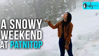 Explore A Snowy Adventure Destination Patnitop In Jammu  Curly Tales [upl. by Bergman]