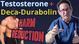 Testosterone  DecaDurabolin  Harm Reduction [upl. by Ynnad]