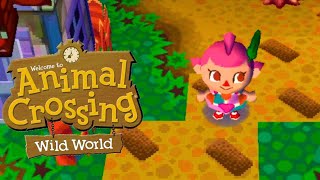 Animal Crossing Wild World  Laying the Town Paths [upl. by Ramsden]