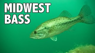 The Spawn Midwest Largemouth Bass [upl. by Lubbock]