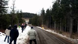 Robert Kubica vs Audi Quattro  Reaction [upl. by Prebo]