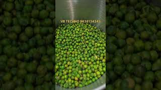 Roasted Green Peas 🫛 Packing Machine [upl. by Leinnad]