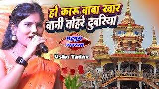 उषा यादव स्टेज प्रोग्राम  हो कारू बाबा खार बानी तोहरे दुवरिया  usha yadav ka gana  Stage Show [upl. by Aivekahs]