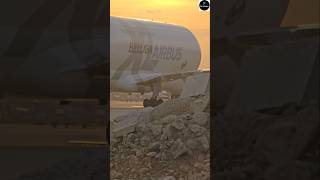 Beluga XL Airbus A330743L at Heathrow airport London ✈️ beluga airbus airbus330 london [upl. by Aivato471]