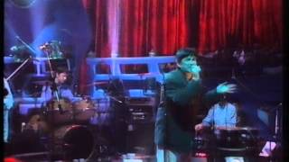 The Beautiful South  Liars Bar  Later With Jools Holland BBC2 1997 [upl. by Lleroj]