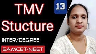 TMV Structure  Viruses Class12thDegree1st sem EamcetNeet amp other exams by Padmavathi [upl. by Albers]