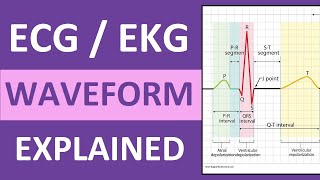 ECG Waveform Explained and Labeled  ECG Interpretation Nursing NCLEX [upl. by Werbel]