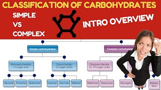 Classification of Carbohydrates CHO Simple vs Complex CHO [upl. by Dorian]