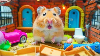 Epic Escape 🐹 Hamster vs Giant Fiery Sand Maze 🏖️ Hamster Maze [upl. by Sitoel77]