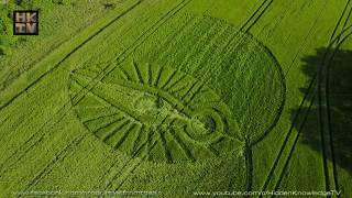 2017 Crop Circle at The Cerne Giant Dorset  Reported May 22nd [upl. by Melmon]