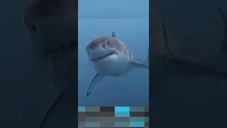 dangerous sea sheap shortvideos [upl. by Neelhsa]