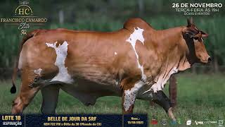 LOTE 18 BELLE DE JOUR DA SRF ROST 50 [upl. by Kenlay]