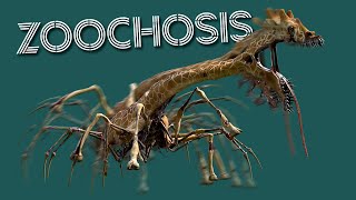 Zoochosis  ALL Animal Monsters MOVEMENT Animation Showcase [upl. by Llertnauq]