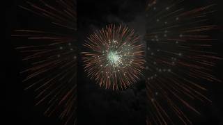 8 Firework fireworks pyromagic pyrotecnic skyshot [upl. by Kcirdorb815]