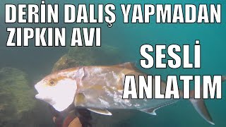 Derine Dalmadan Zıpkınla Balık Avı Nasıl yapılır Sesli Anlatım [upl. by Rudman619]