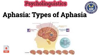 Aphasia  Types of Aphasia [upl. by Imuy]