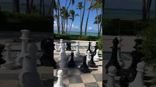 Full Day in Bávaro Palace 🔥 NEW VIDEO coming this week beach puntacana youtubeshorts newvideo [upl. by Enrichetta]