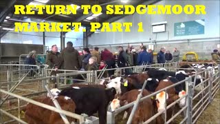 RETURN TO SEDGEMOOR MARKET PART 1 [upl. by Eniarral]