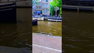 Amsterdam Has Gangsters Too 👀 FYP youtube shortsfeed youtubeshorts shorts travel gangster [upl. by Rehoptsirhc387]