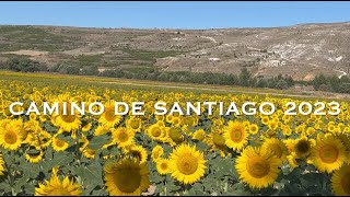 Camino de Santiago 2024 HD [upl. by Denn]