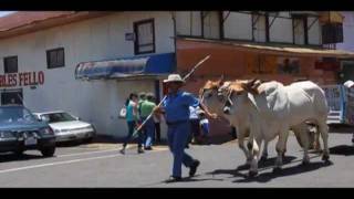 Oxcart Parade in Atenas Costa Rica [upl. by Asilat]