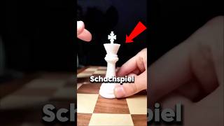 Hier ist das beste Schach der Welt 😱 [upl. by Onaivlis]