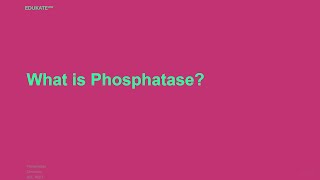 What is Phosphatase [upl. by Nomelif]