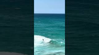 Sculptures by the Sea 2024 Surf’s up at Tamarama 🏄‍♂️ shorts sculpture SBTS2024 Sydney [upl. by Naashar]