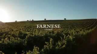 Farnese Vini OFFICIAL VIDEO [upl. by Fesoy793]