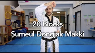 Practicing Taekwondo Blocks [upl. by Orland]