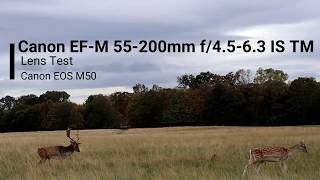 Canon EFM 55200mm Photo amp Video Test [upl. by Bozuwa]