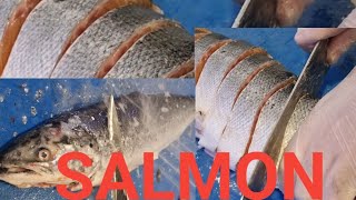 CLEANING AND CUTTING BIG AND FRESH NORWAYGIAN SALMON FISH SKILLS ASMR TRENDING [upl. by Aicylla]