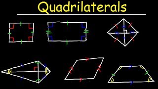 Quadrilaterals  Geometry [upl. by Newman]