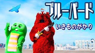 【歌ってみた】ブルーバードいきものがかり【25周年おめでとう♪】【今年こそ紅白歌合戦に出たい！】 [upl. by Yanarp939]