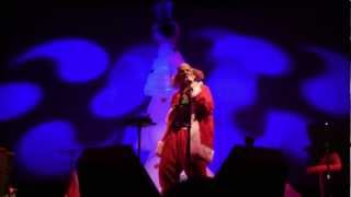 The Residents quotSanta Dog 13  Mahogany Woodquot Wonder of Weird 40th Anniv Tour in Santa Cruz 22813 [upl. by Ruamaj]