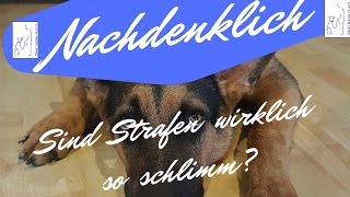 MLH Clickertrainning  Ist Strafe wirklich so schlimm [upl. by Eriha389]