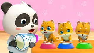 Kitty Cat Song  Play with Kittens  Pet Care Song  Nursery Rhymes amp Kids Songs  BabyBus [upl. by Idnahc]