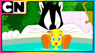 Putty Tat Trouble  Looney Tunes  Cartoon Network Asia [upl. by Hcir]