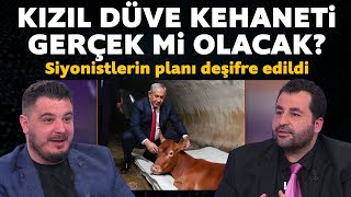 Kızıl düve kehaneti gerçek mi Gizli plan deşifre oldu [upl. by Emmons]