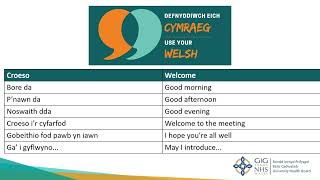 Geirfa Cyfarfodydd  Vocabulary for Meetings CROESO  WELCOME [upl. by Anya97]