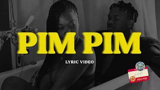 Dice Ailes  Pim Pim feat Olamide Lyric Video [upl. by Ecnatsnok]